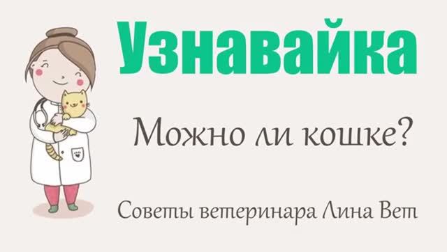 Можно ли кошке сыр, молоко, рыбу и альбуцид смотреть онлайн