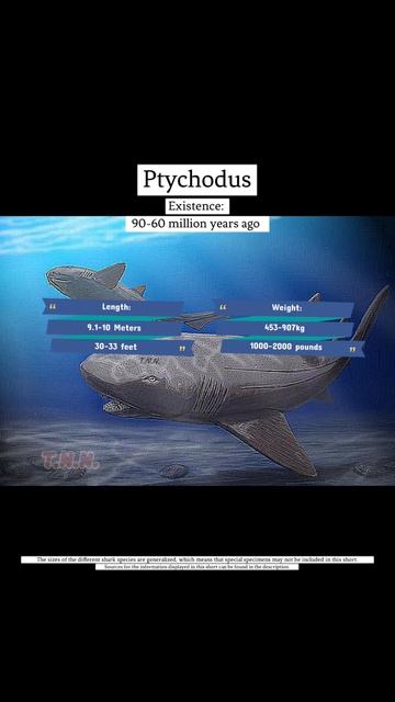 Prehistoric sharks смотреть онлайн