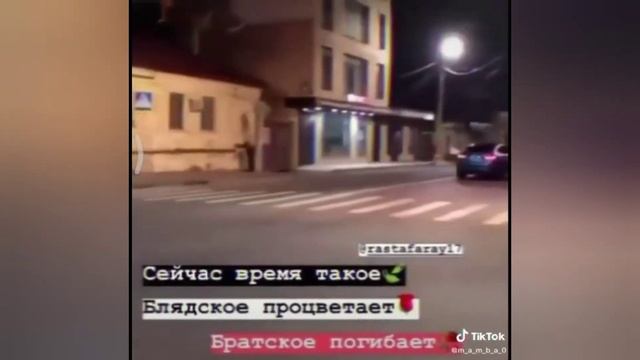 Цитаты из тик тока /грустные, крутые и смешные. (vishenka)