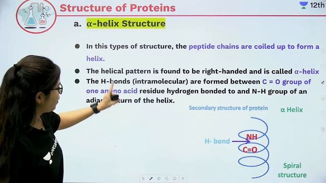 CBSE Class 12: Proteins L6 | Biomolecules | Chemistry | Unacademy Class 11 & 12 | Monica Bedi смотреть онлайн