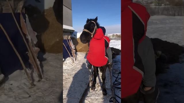 Деревенской влог смотреть онлайн