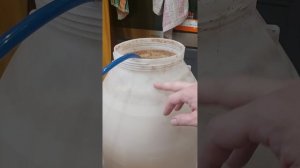 перегон густой зерновой браги, вместе с дробиной, при помощи фальшьдна! Часть 1.