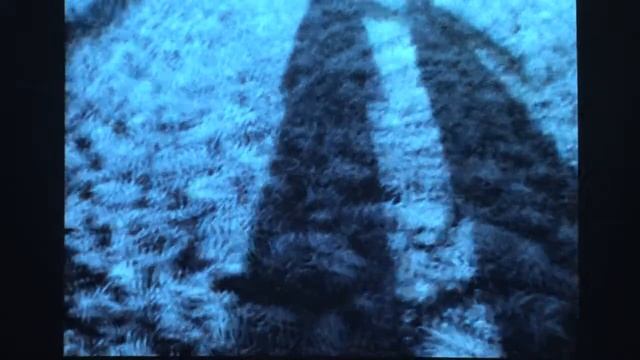 PRIVATE MEMORIES, PUBLIC IMAGES: RE-CYCLING CINEMA. Alina Marazzi at NYU смотреть онлайн