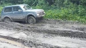 НИВА ПО ГРЯЗИ В ЛЕСУ.