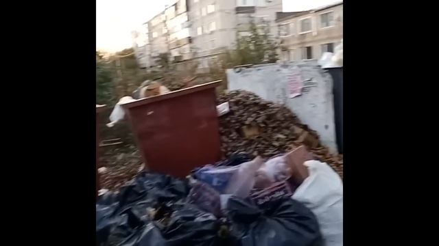 ПАКЕТ. Лучший социальный ролик Едра смотреть онлайн