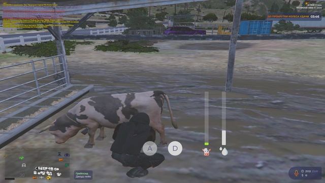 дм багоюз в зз 1495 611