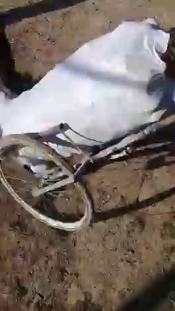 Вот такое приспособление для мешков 50 кг...легко спустить в подвал... смотреть онлайн