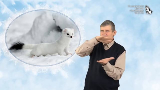 "Любитель чистоты" - слайд для глухих и слабослышащих/МСЦ ЕХБ/смотреть онлайн смотреть онлайн