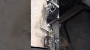 Замена датчика заднего хода Форд Фокус 2 МКПП 5 IB5( лопнул пополам)