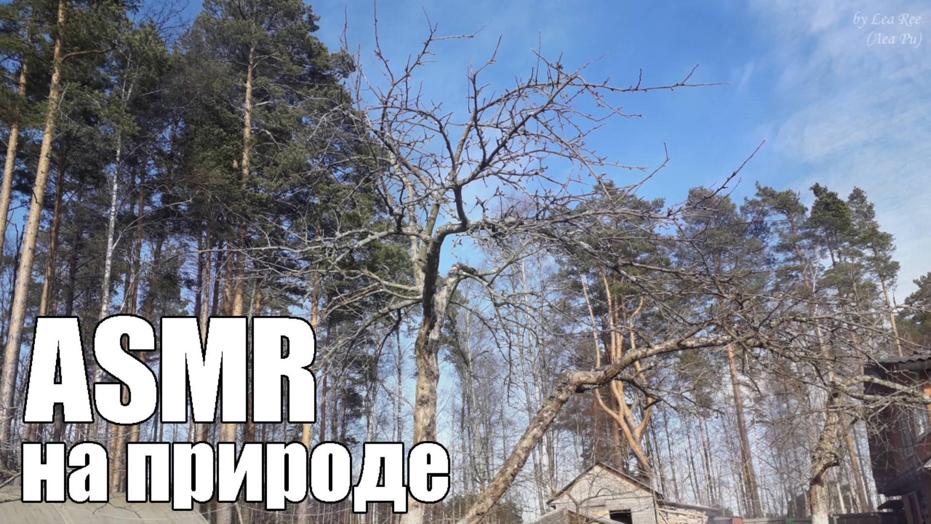 АСМР ASMR Уютная шепталка под пение птиц Звуки природы смотреть онлайн