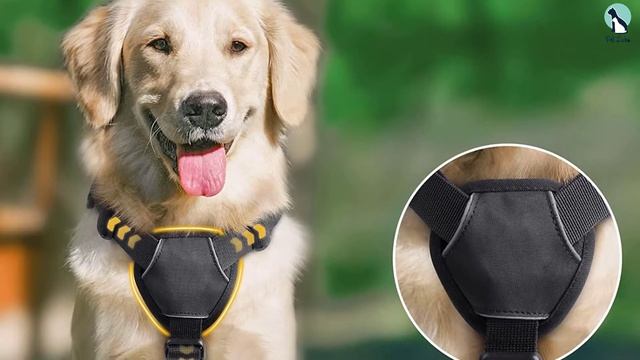 ✅Top 5 Best Escape Proof Dog Harnesses of 2024 смотреть онлайн