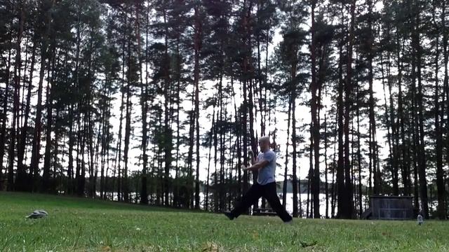 Gao style Baguazhang hotien line 2 forms 1-4 смотреть онлайн