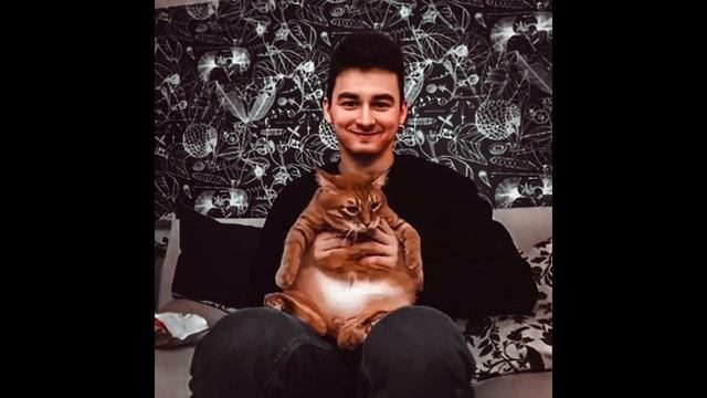 Brian Maps - Кот в мешке (AI cover) смотреть онлайн