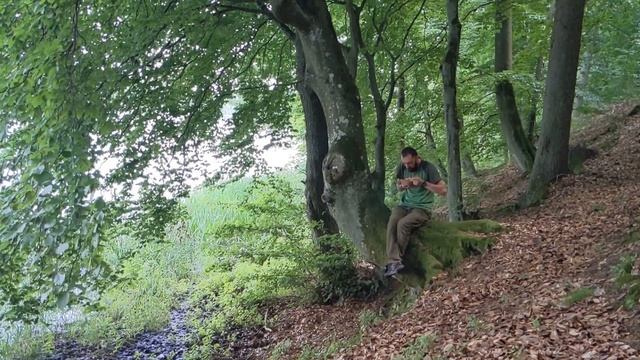 Solo bushcraft with Victorinox Camper. 1 day in the forest. смотреть онлайн