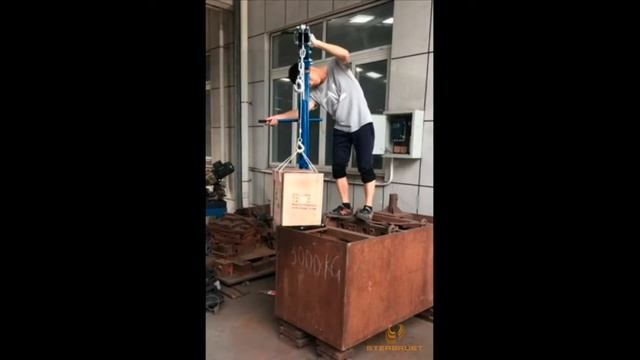 Кран AE&T Т62102А 500 кг с лебедкой