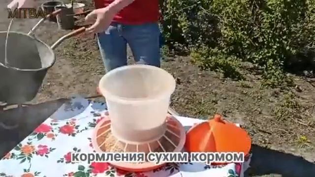 Кормушка 12 литров смотреть онлайн