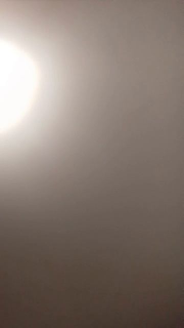 1000005933.mp4 смотреть онлайн