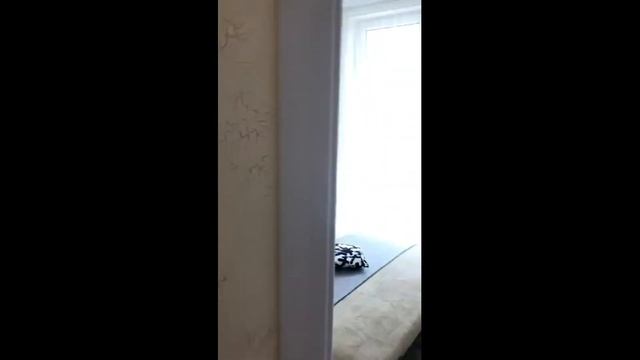 Евро 2 кв, ЖК Большой смотреть онлайн