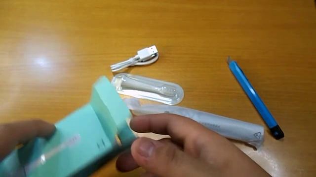 Xiaomi Mijia Toothbrush T100