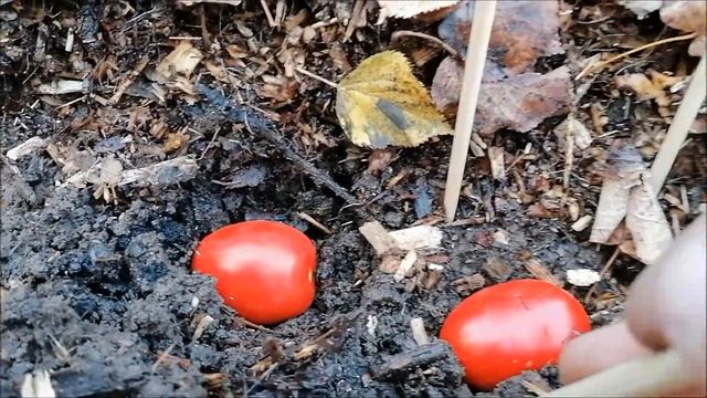 ОПЯТЬ ЭКСПЕРИМЕНТ смотреть онлайн