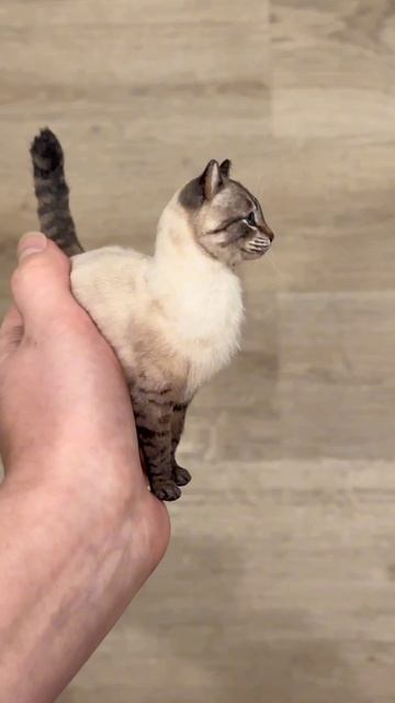 Прикольно 👍 смотреть онлайн