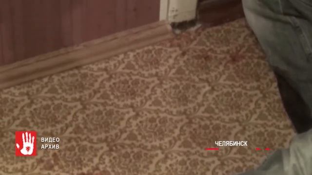 Молодой челябинец зарезал 54-летнего мужчину, который стал его домогаться смотреть онлайн