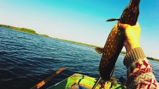 Рыбалка на кружки.Я в шоке-кружок ушел под воду и не выныривает.