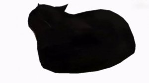 Maxwell кот крутится |1 час