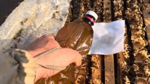 Лечим пчел амитразом