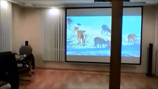 #проектор #экран #кино Проектор и экран уже в нашей жизни. смотреть онлайн