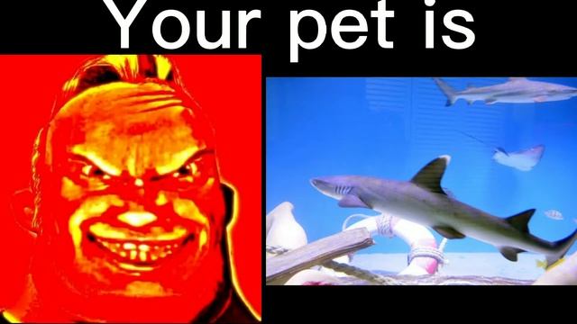 Mr Incredible Becoming Canny (Your Pet Is)