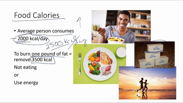 PP 7-2 Work & calories Burned смотреть онлайн