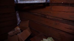 КАТЯ ОСТАЛАСЬ БЕЗ ПИРОГОВ | ВСКРЫЛ СТАРЫЙ ЧУЛАН | МЯСО С ОВОЩАМИ В ПЕЧИ