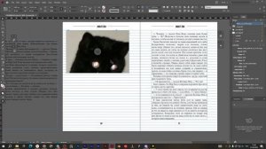 ПОЛНЫЙ ГАЙД ПО КНИГЕ. КАК ПРОИЛЛЮСТРИРОВАТЬ, СВЕРСТАТЬ И  НАПЕЧАТАТЬ КНИГУ | ADOBE INDESIGN TUTORIA