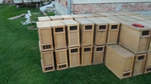 ПОЕЗДКА ЗА ПЧЕЛОПАКЕТАМИ / пчела карпатка / пчелопакеты 2021