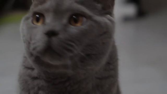 Не оставляйте включенными электроприборы смотреть онлайн