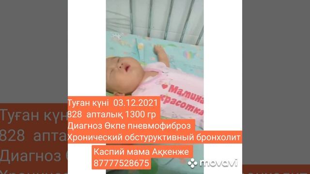 #алматы #астана #алла #садақа #тойдуман #той #qoslaike #birthday смотреть онлайн