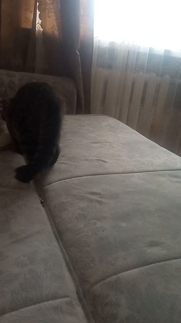 4 февраля 2023 г. смотреть онлайн