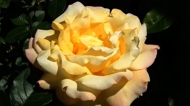Хорошая песня и видео онлайн смотреть онлайн