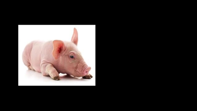 Чат рулетка и секс♥ смотреть онлайн