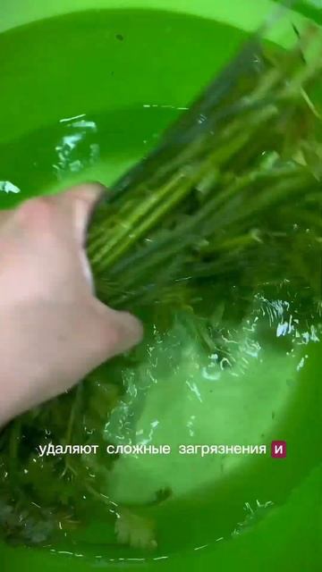 Артикул ВБ: 192571077 Артикул ОЗОН: 1272900127 смотреть онлайн
