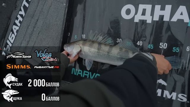 ОСЕННЯЯ РЫБАЛКА В АСТРАХАНИ | Где клюет судак? | «Одна в лодке» | 2 сезон | 22 серия смотреть онлайн
