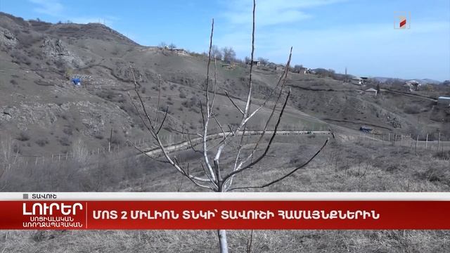 Մոտ 2 միլիոն տնկի՝ Տավուշի համայնքներին смотреть онлайн