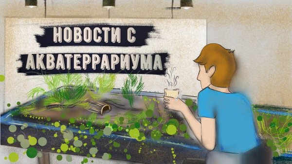 НОВОСТИ С АКВАТЕРРАРИУМА