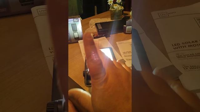 Lidl LED solarna reflektor lampa s detektorom pokreta Livarno смотреть онлайн