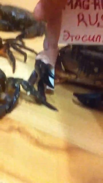 Маг смотреть онлайн