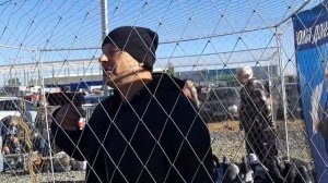 Взрыв эмоций!  Роман Головин "Донецкий" на ярмарке в Ростове на Дону. Николаеские голуби.