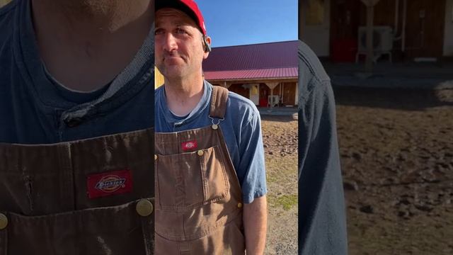 Arthurs Acres Animal Sanctuary Is Live! 8/23/24