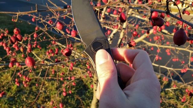 Нож Ратата Ratata CLR CKF Коныгин М390 титан подшипники смотреть онлайн