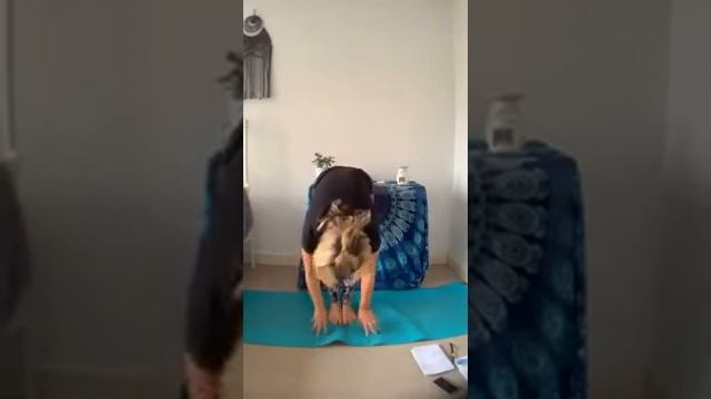Teen Yoga Online 3 minute challenge смотреть онлайн